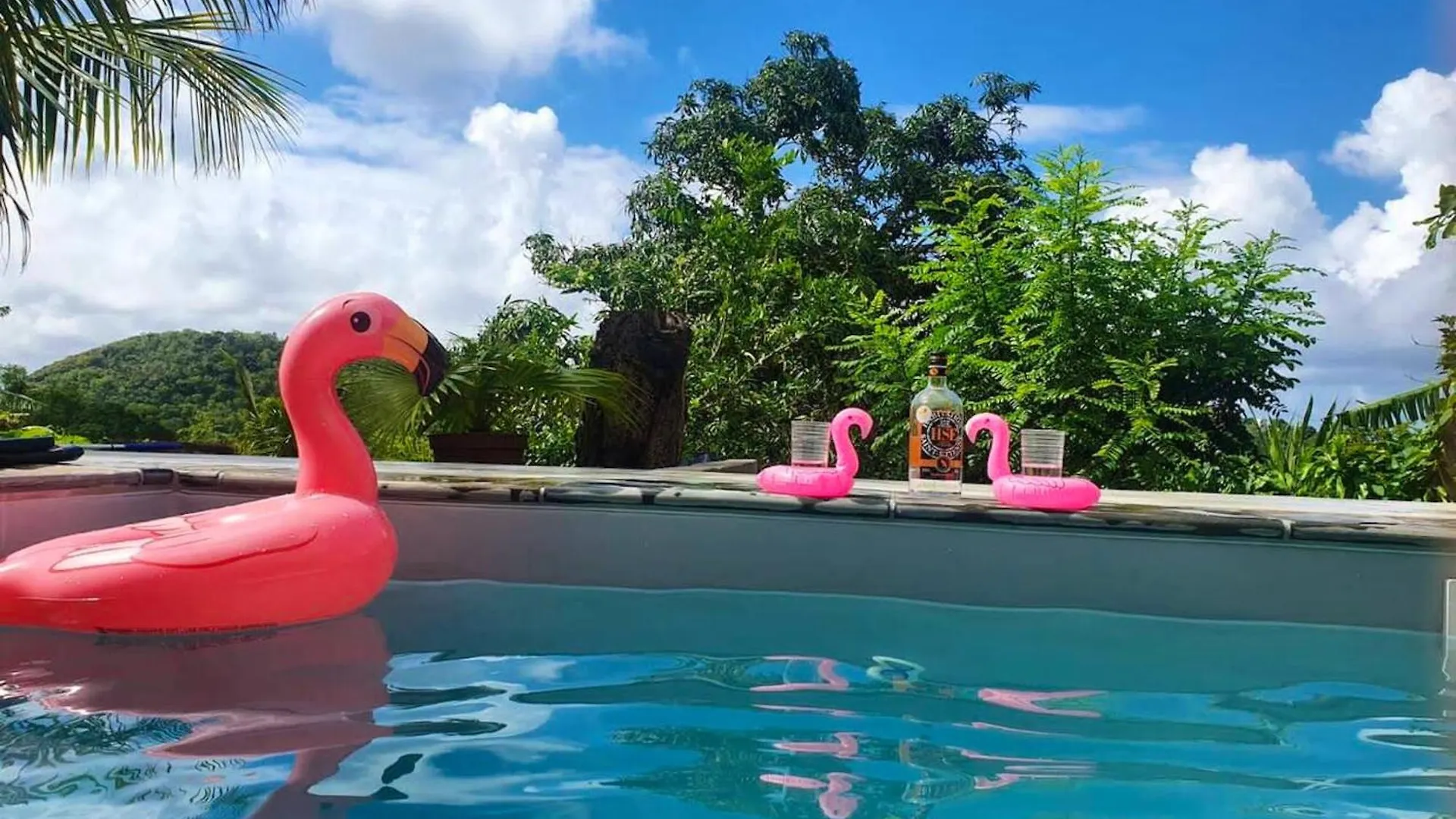 Apartment Appartement Charmant A Sainte Luce Avec Piscine Privee 60 M²